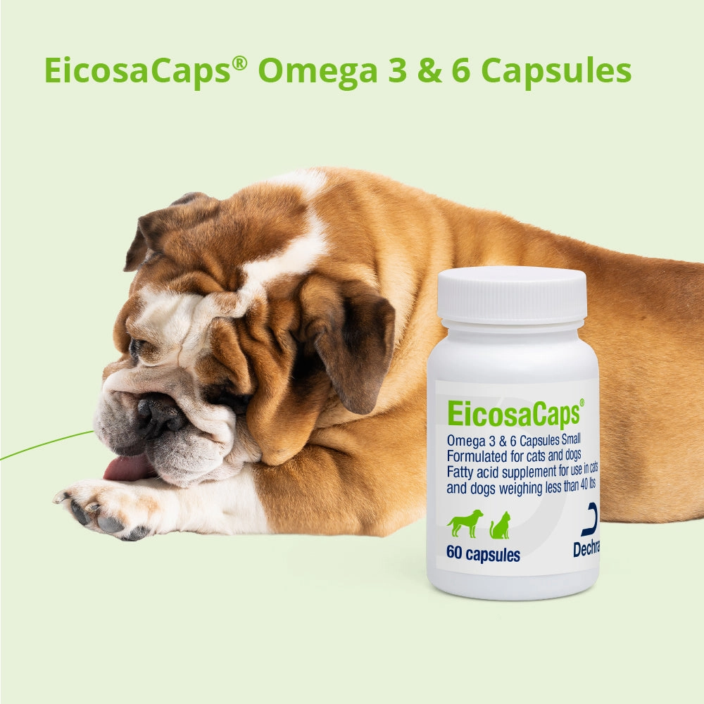 EicosaCaps Omega 3 & 6 for Dogs and Cats