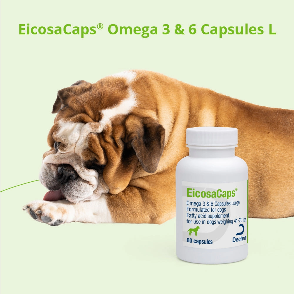 EicosaCaps Omega 3 & 6 for Dogs and Cats