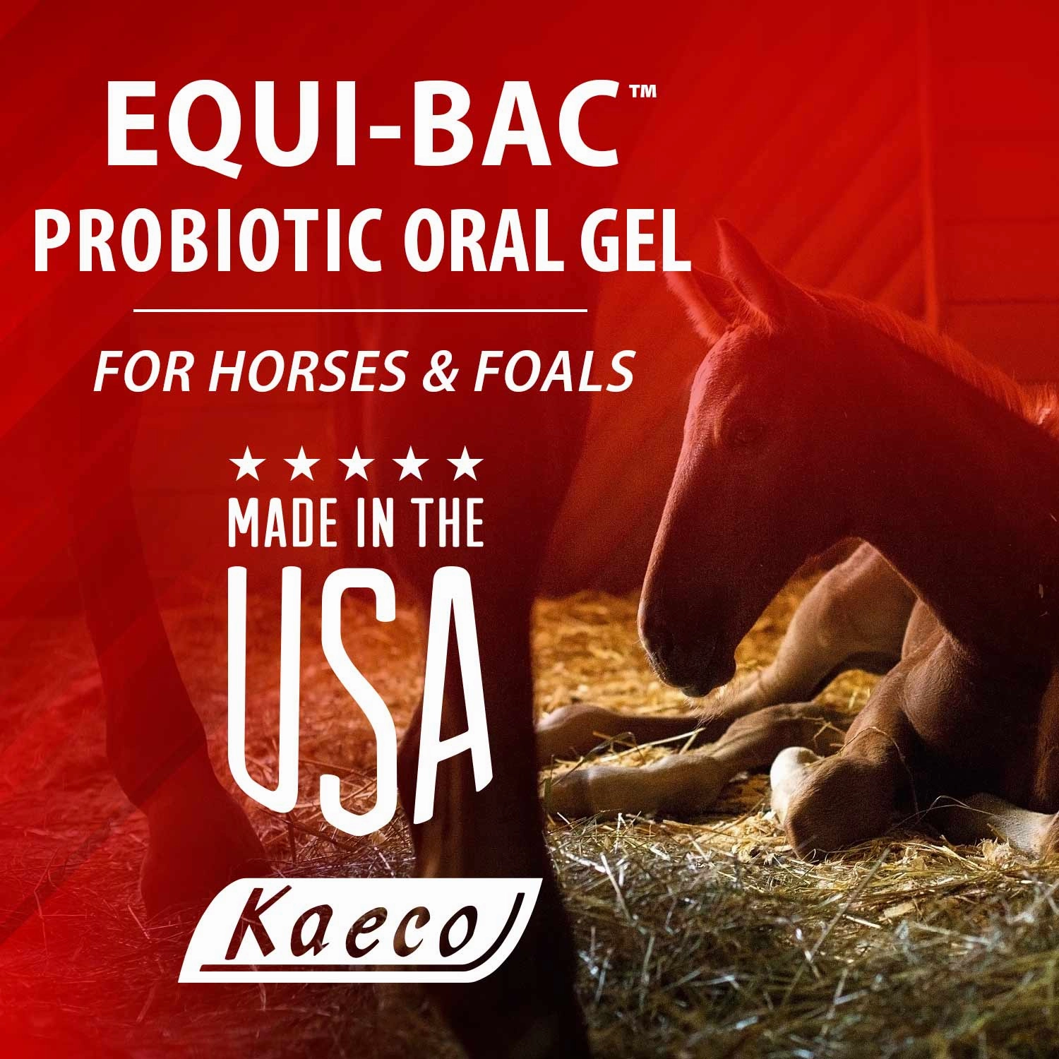 Equi-Bac