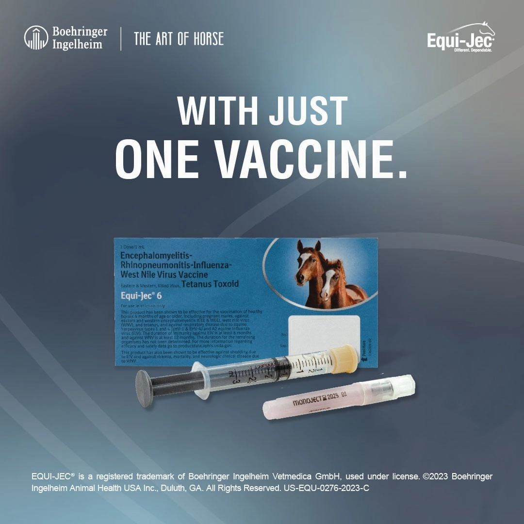 Equi-Jec 6 Vaccine for Horses