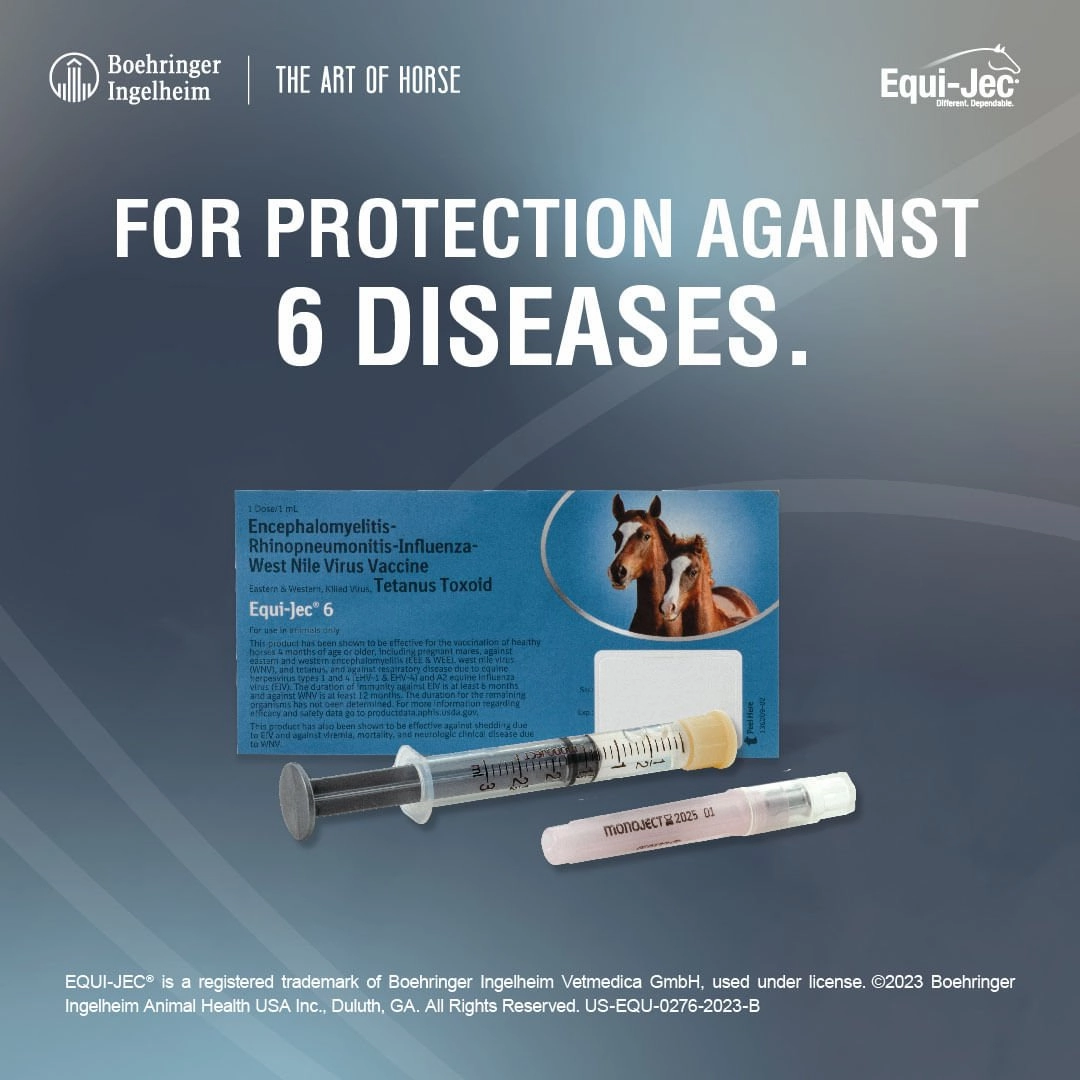 Equi-Jec 6 Vaccine for Horses