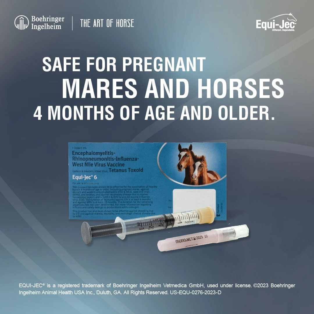 Equi-Jec 6 Vaccine for Horses
