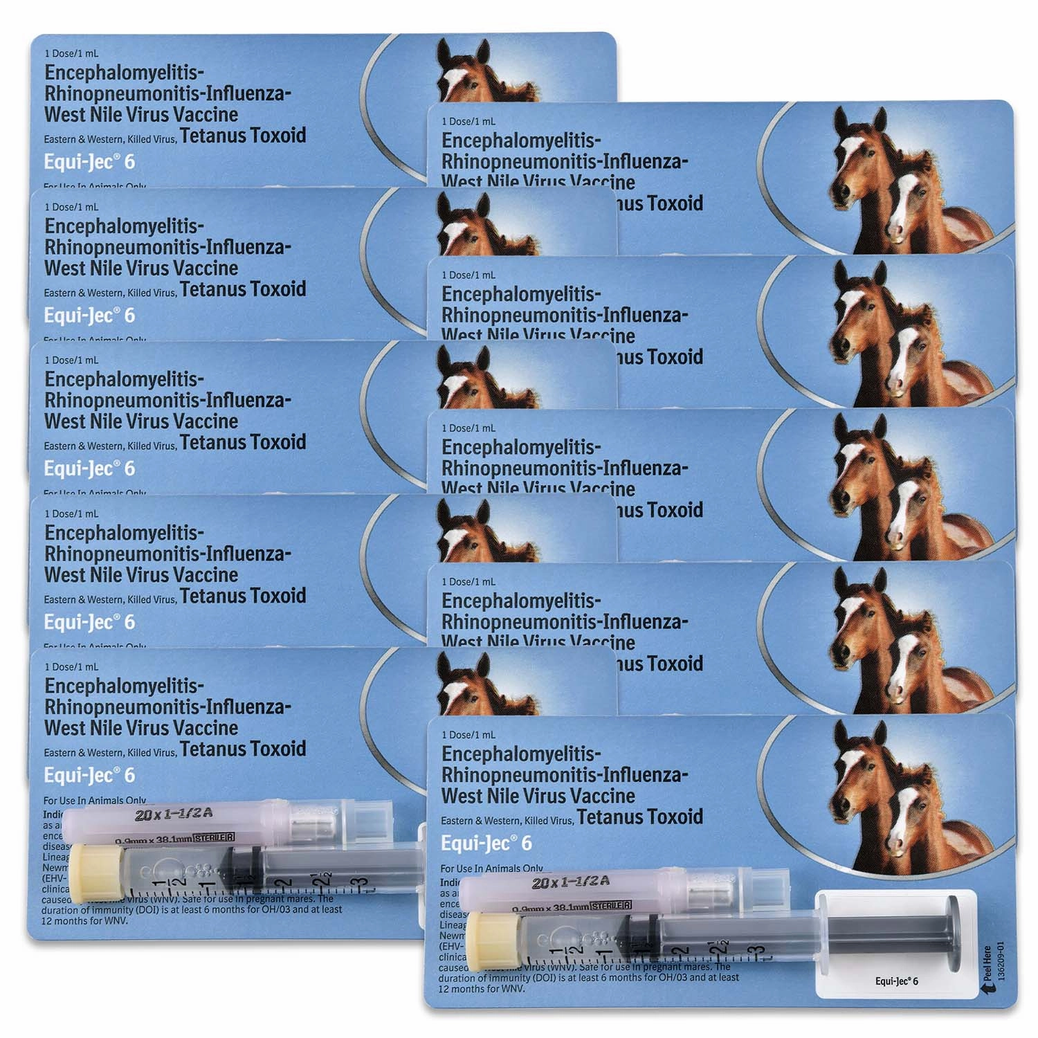 Equi-Jec 6 Vaccine for Horses