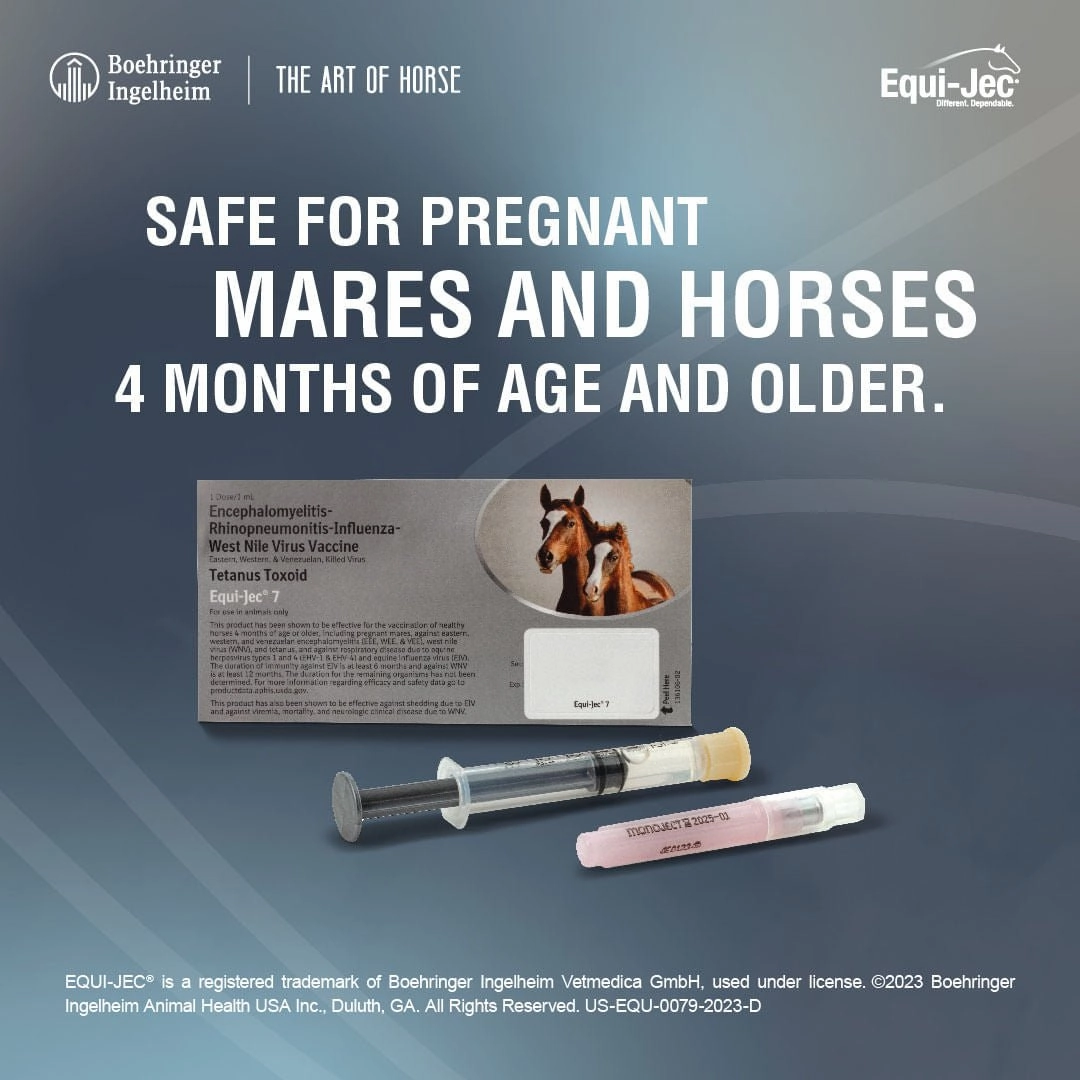 Equi-Jec 7 Vaccine for Horses