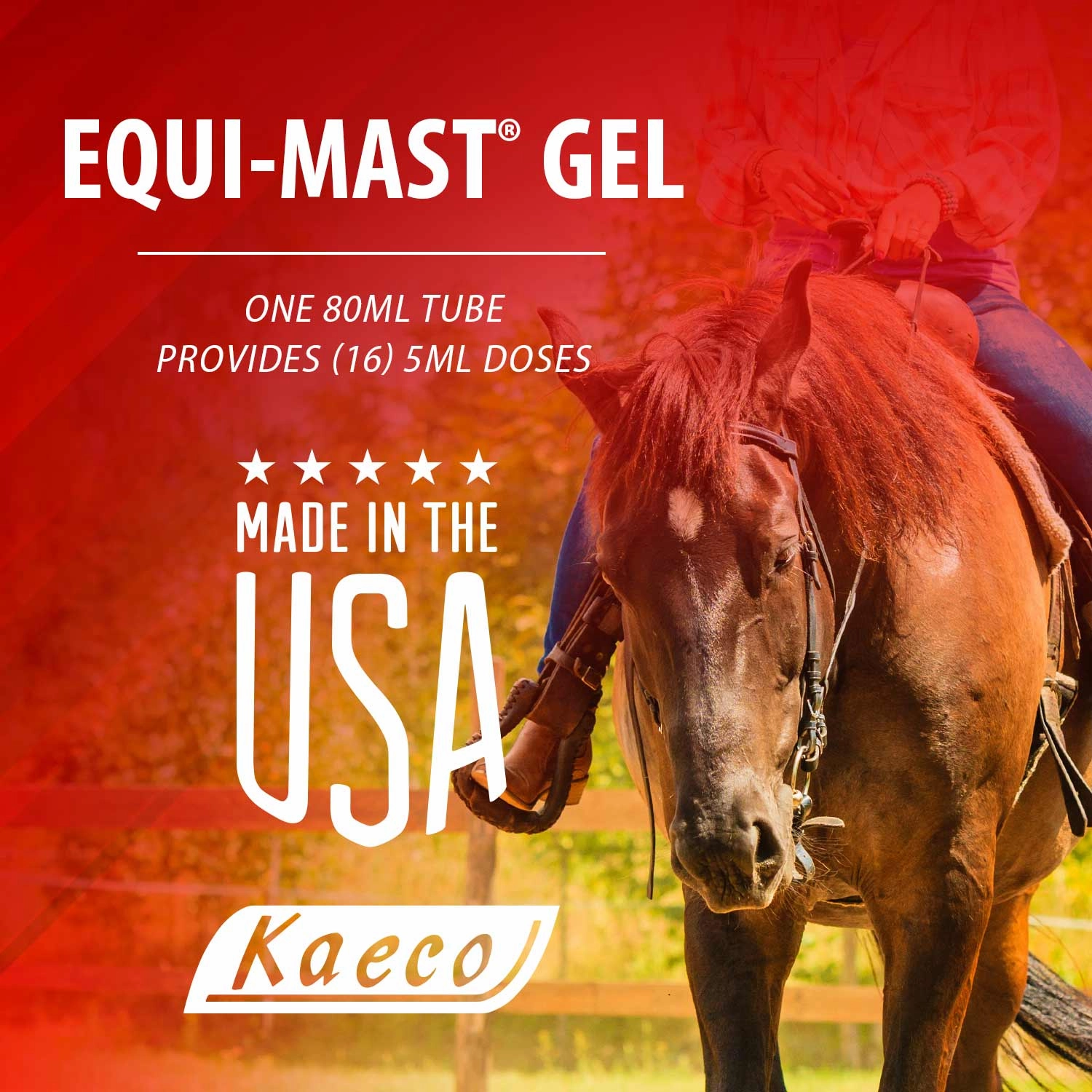 Equi-Mast Gel, 16 Daily Doses, 80ml