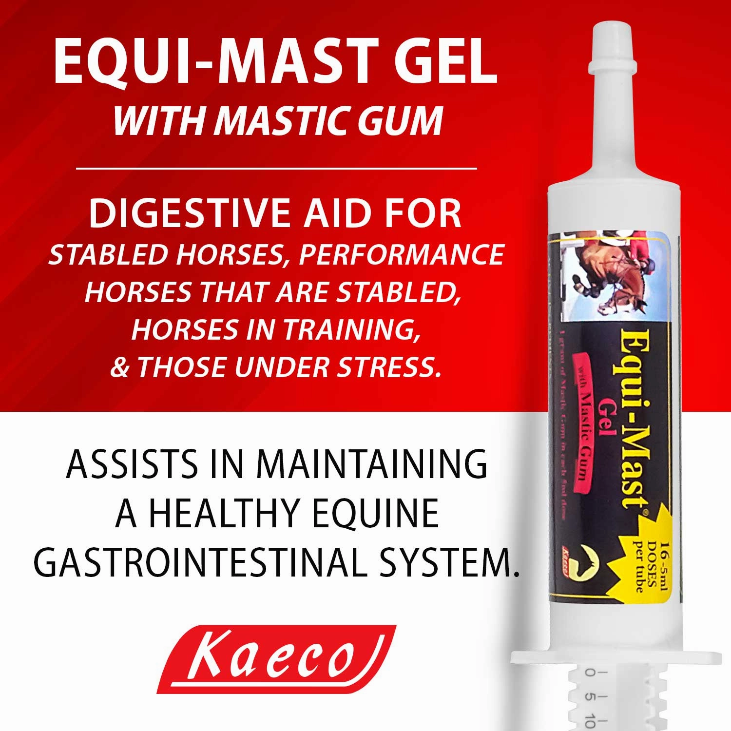 Equi-Mast Gel, 16 Daily Doses, 80ml