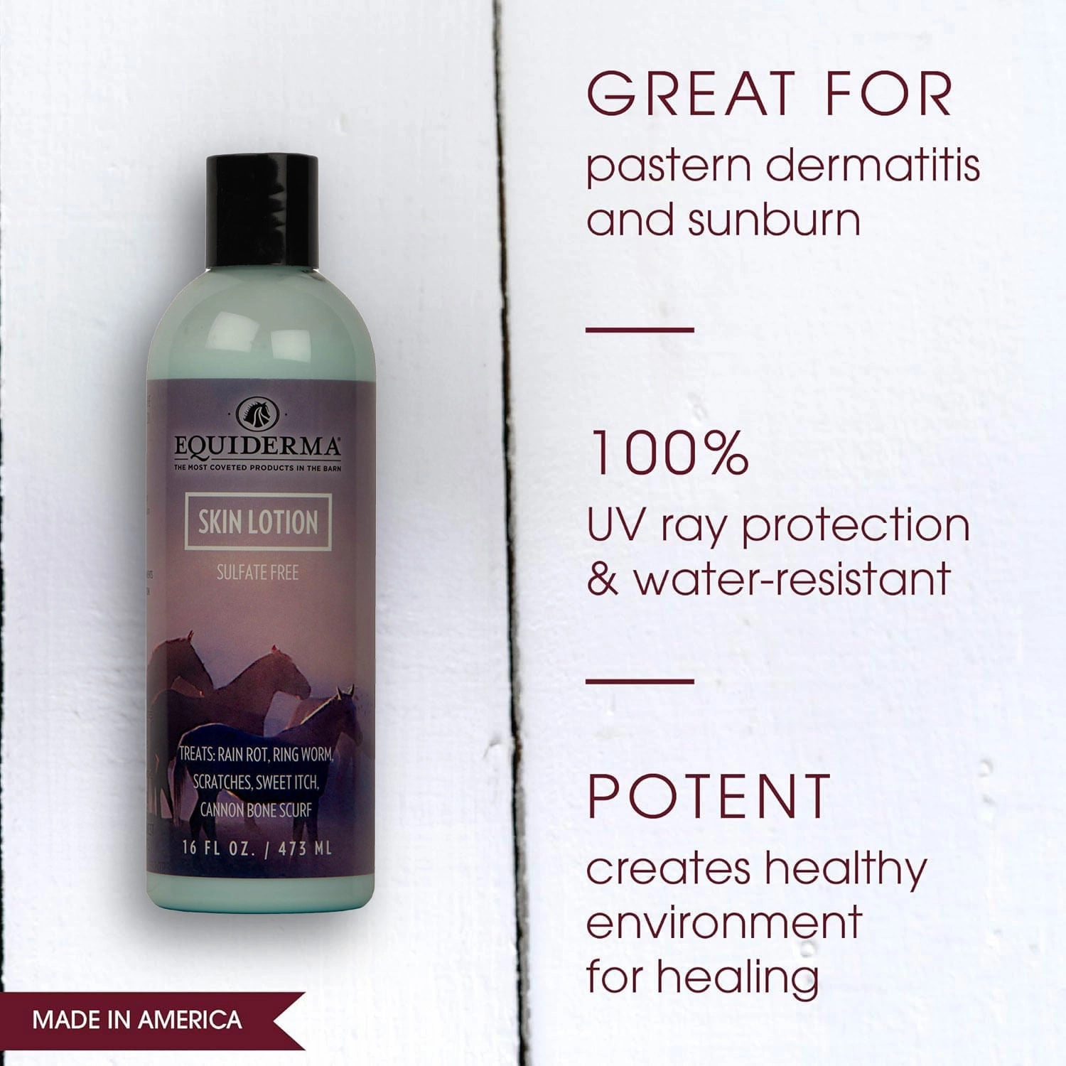 Equiderma Skin Lotion, 16 oz