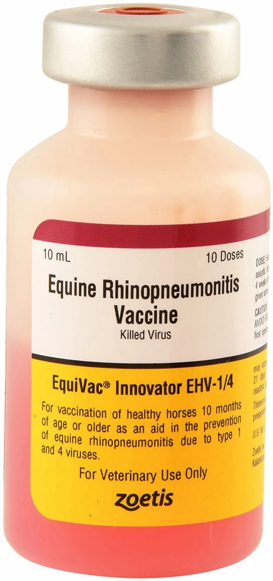 Equivac EHV-1/4 Vaccine for Horses
