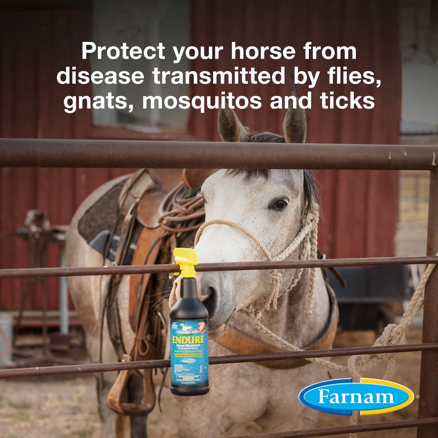 Farnam Endure Sweat-Resistant Fly Control Spray for Horses