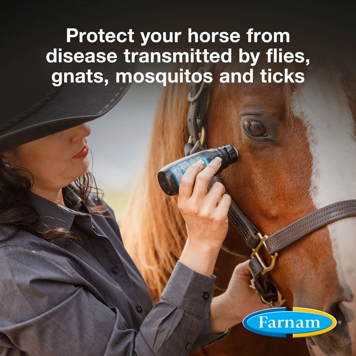 Farnam Endure Sweat-Resistant Fly Control Spray for Horses