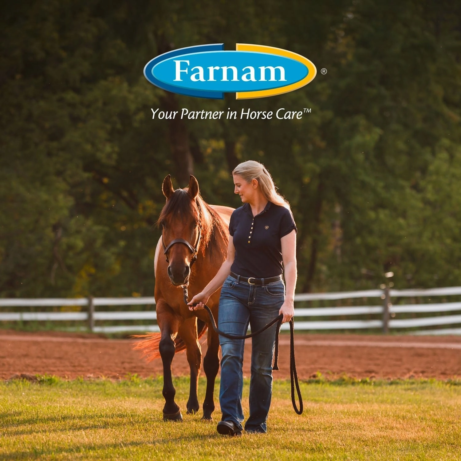 Farnam Endure Sweat-Resistant Fly Control Spray for Horses