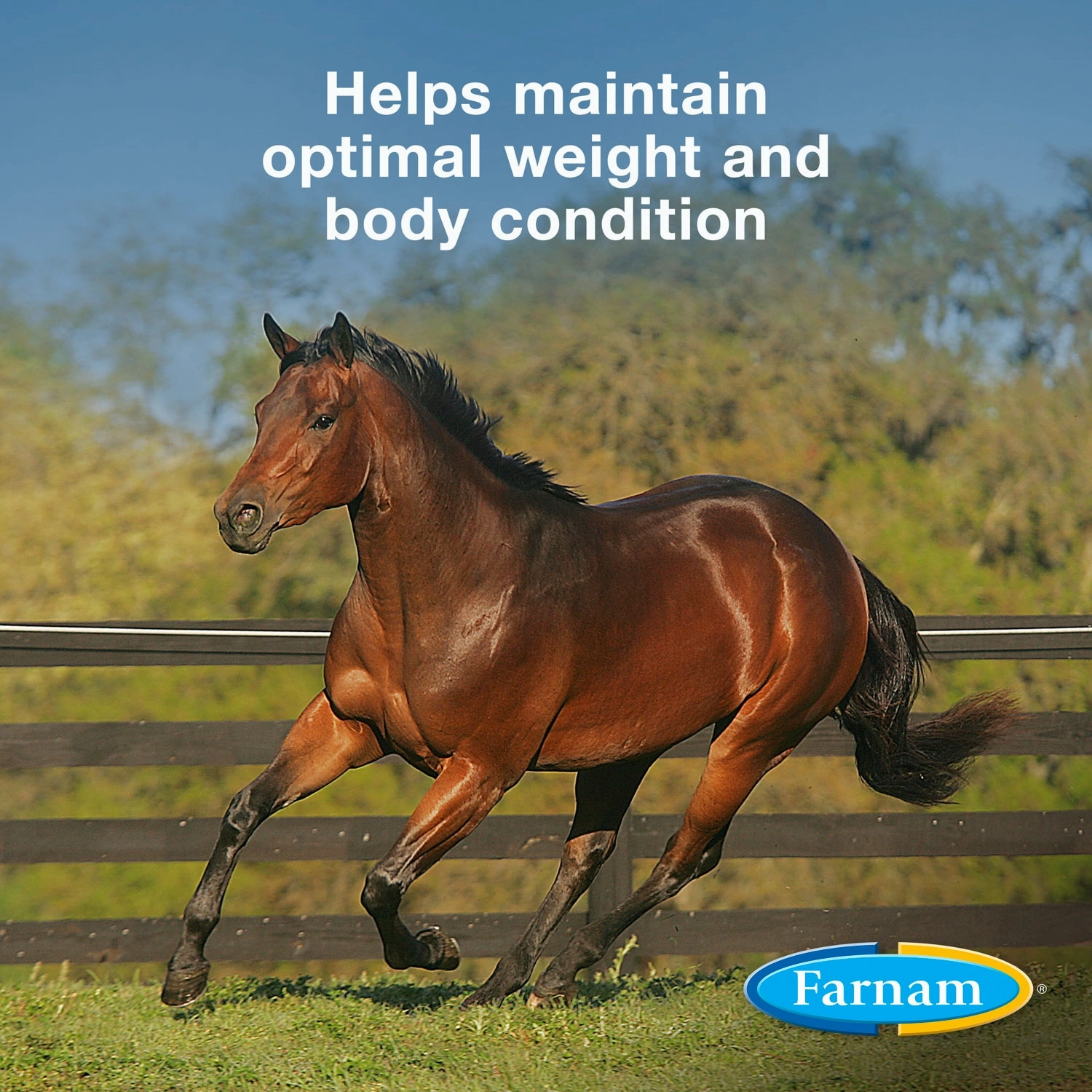 Farnam Weight Builder