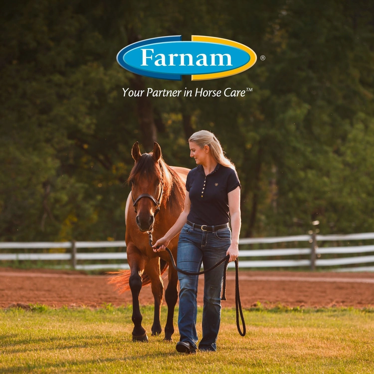 Farnam Weight Builder
