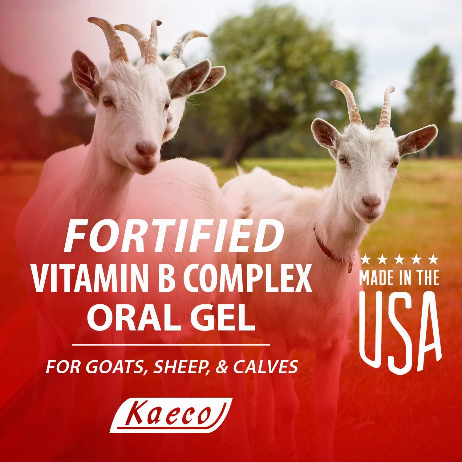 Fortified Vitamin B Complex Gel for Goats, Sheep & Calves, 30 g