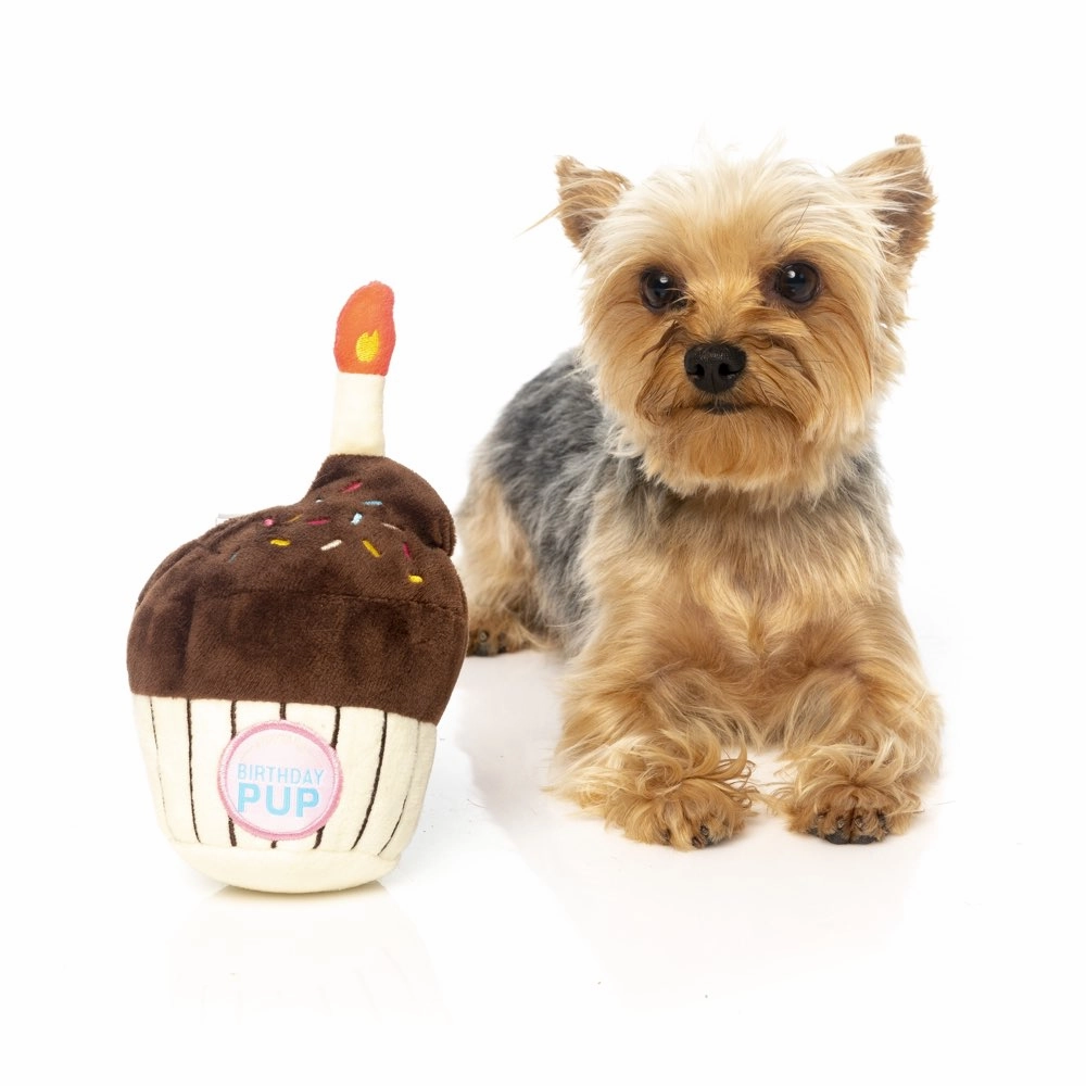 Fuzzyard Birthday Cupcake Plush Dog Toy
