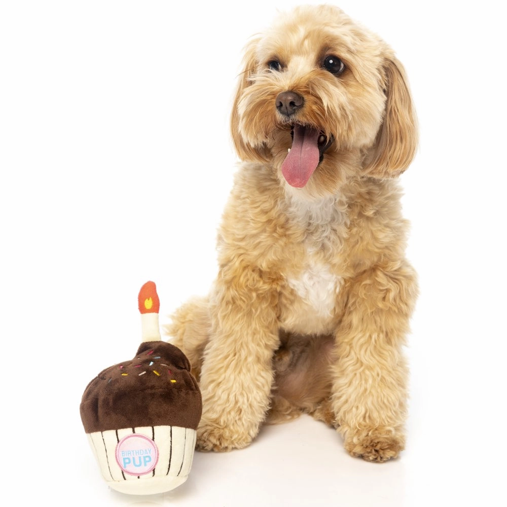 Fuzzyard Birthday Cupcake Plush Dog Toy