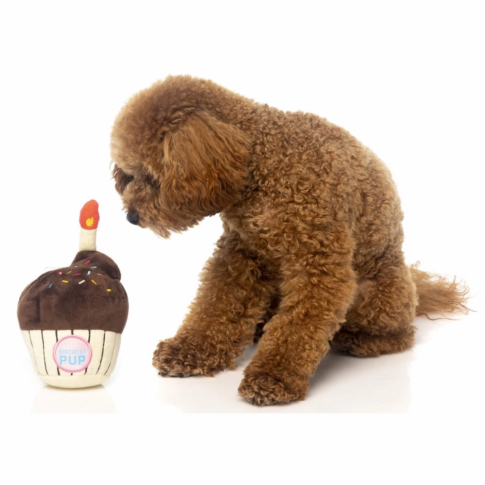 Fuzzyard Birthday Cupcake Plush Dog Toy