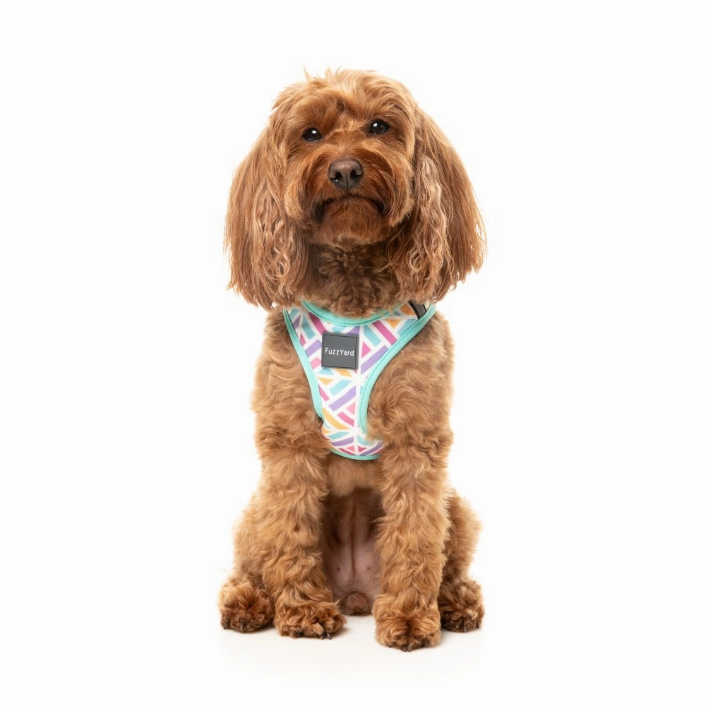 FuzzYard Bubblegum Burst Step-In Dog Harness