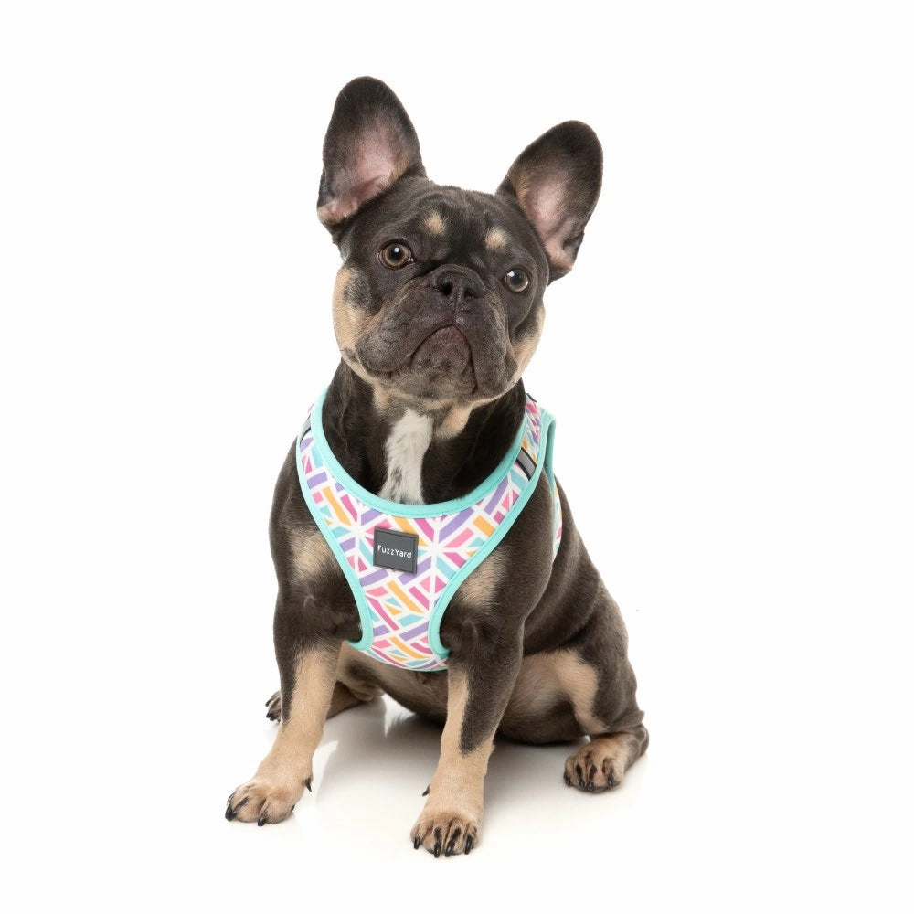 FuzzYard Bubblegum Burst Step-In Dog Harness