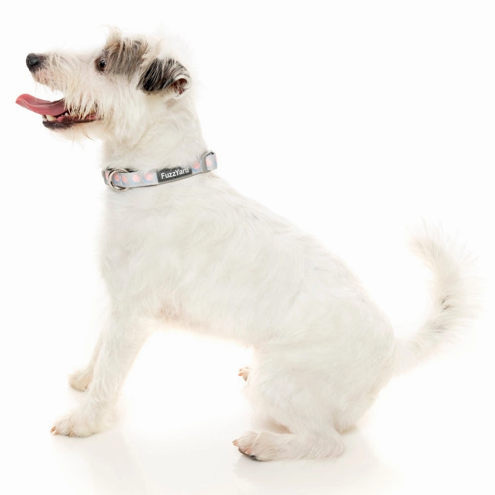 FuzzYard Dog Collar (Dippin')