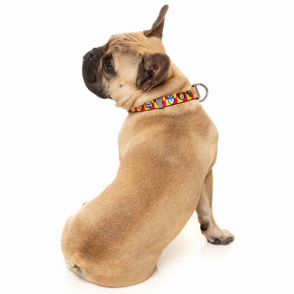 FuzzYard Dog Collar (Doggoforce)