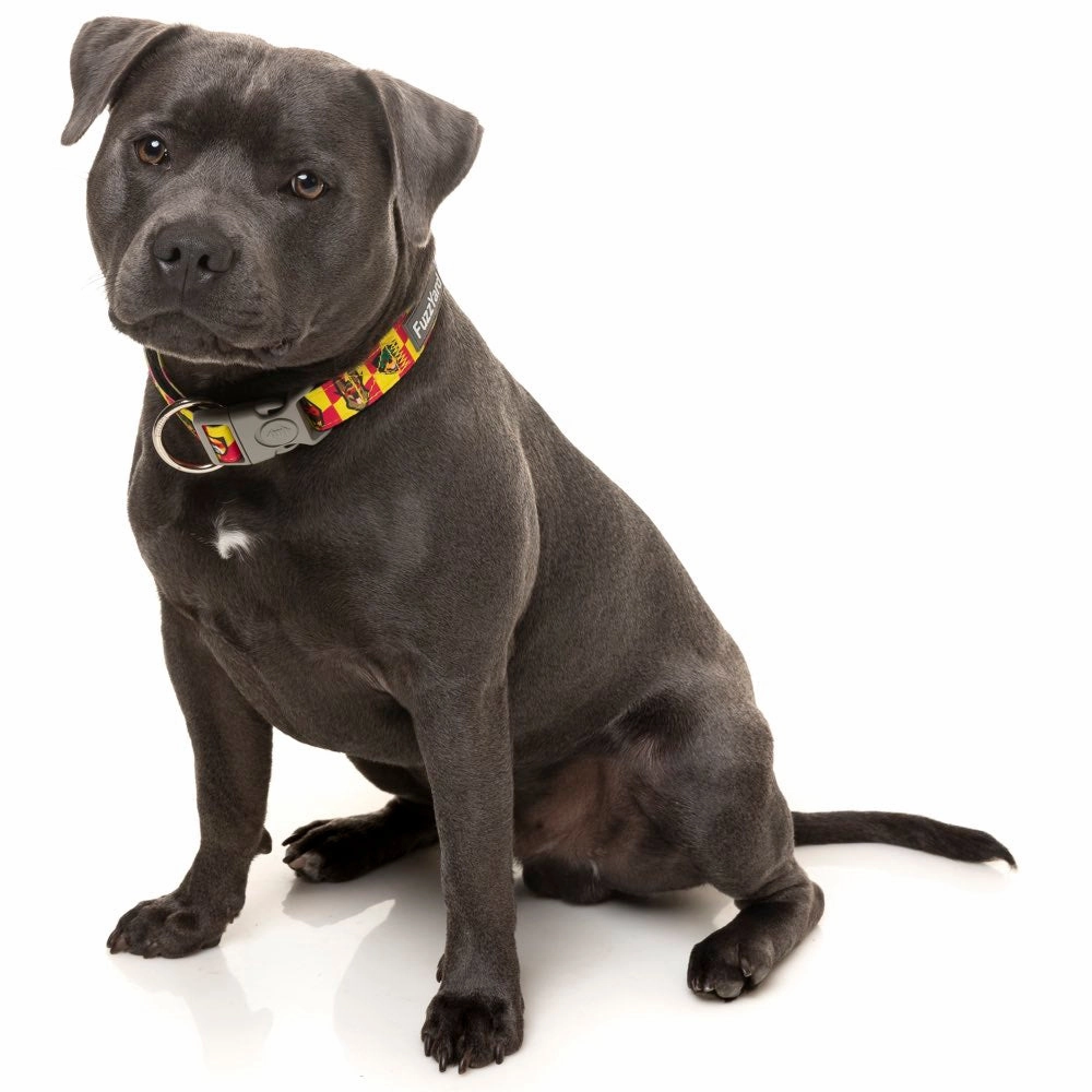 FuzzYard Dog Collar (Doggoforce)