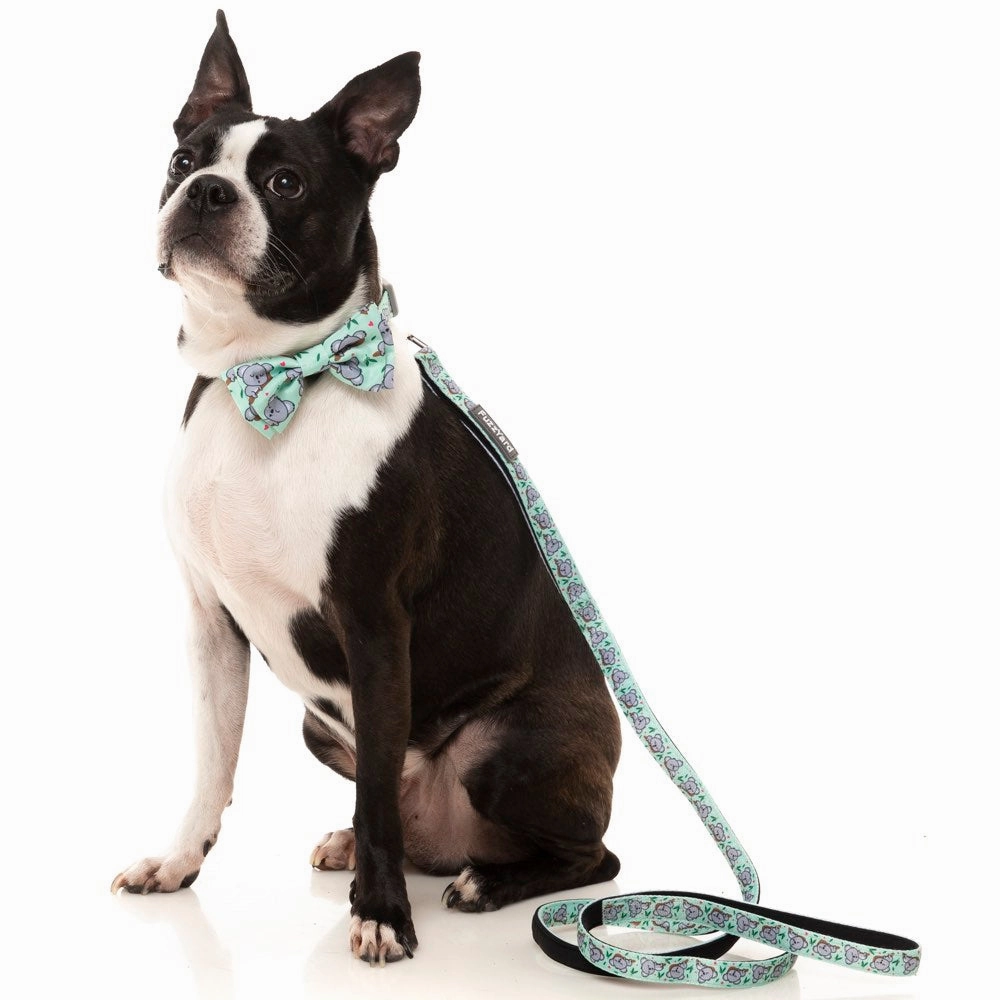 FuzzYard Dog Collar (Dreamtime Koalas)
