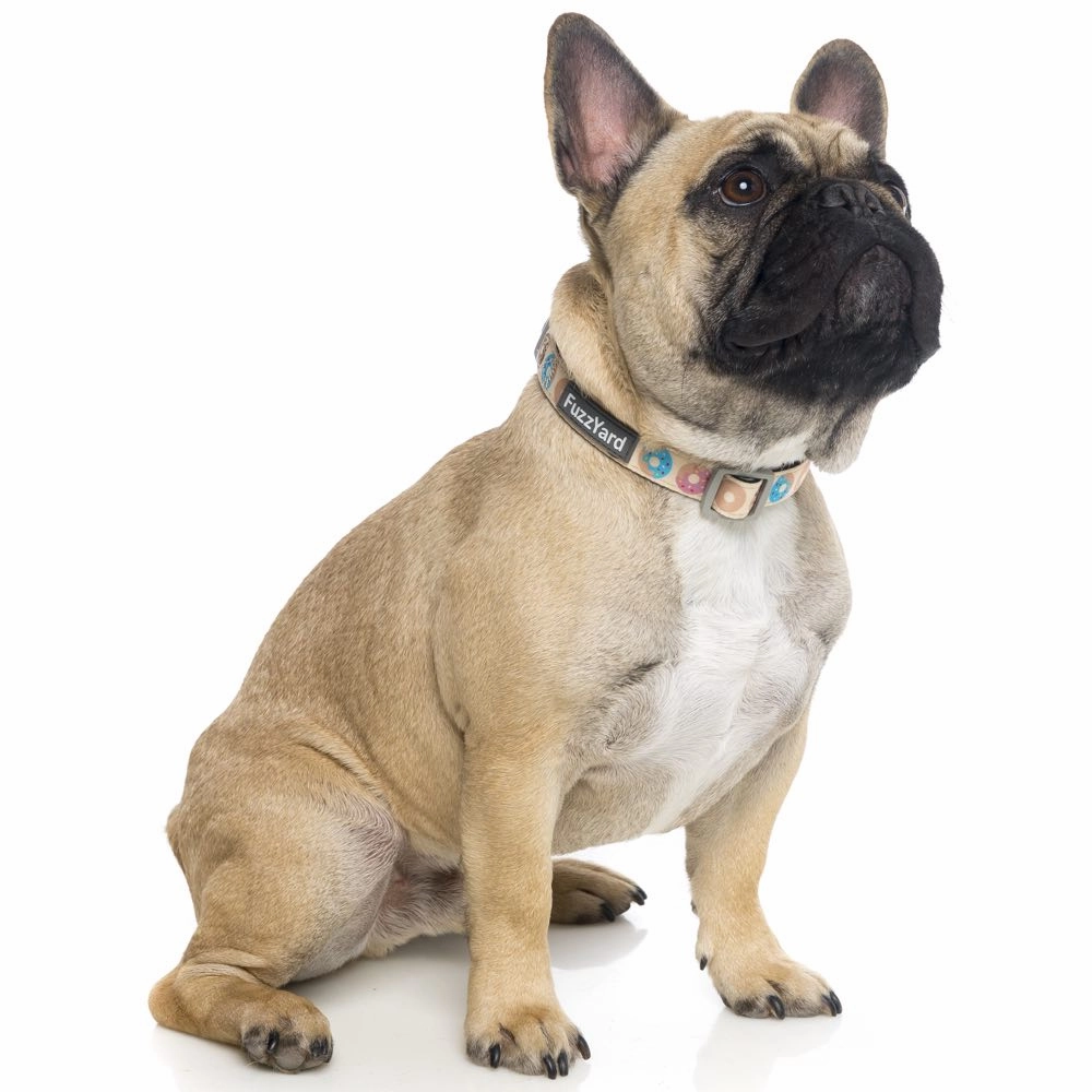FuzzYard Dog Collar (Go Nuts)