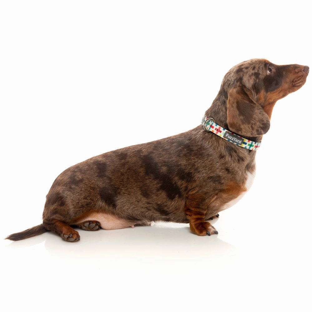 FuzzYard Dog Collar (Jenga)