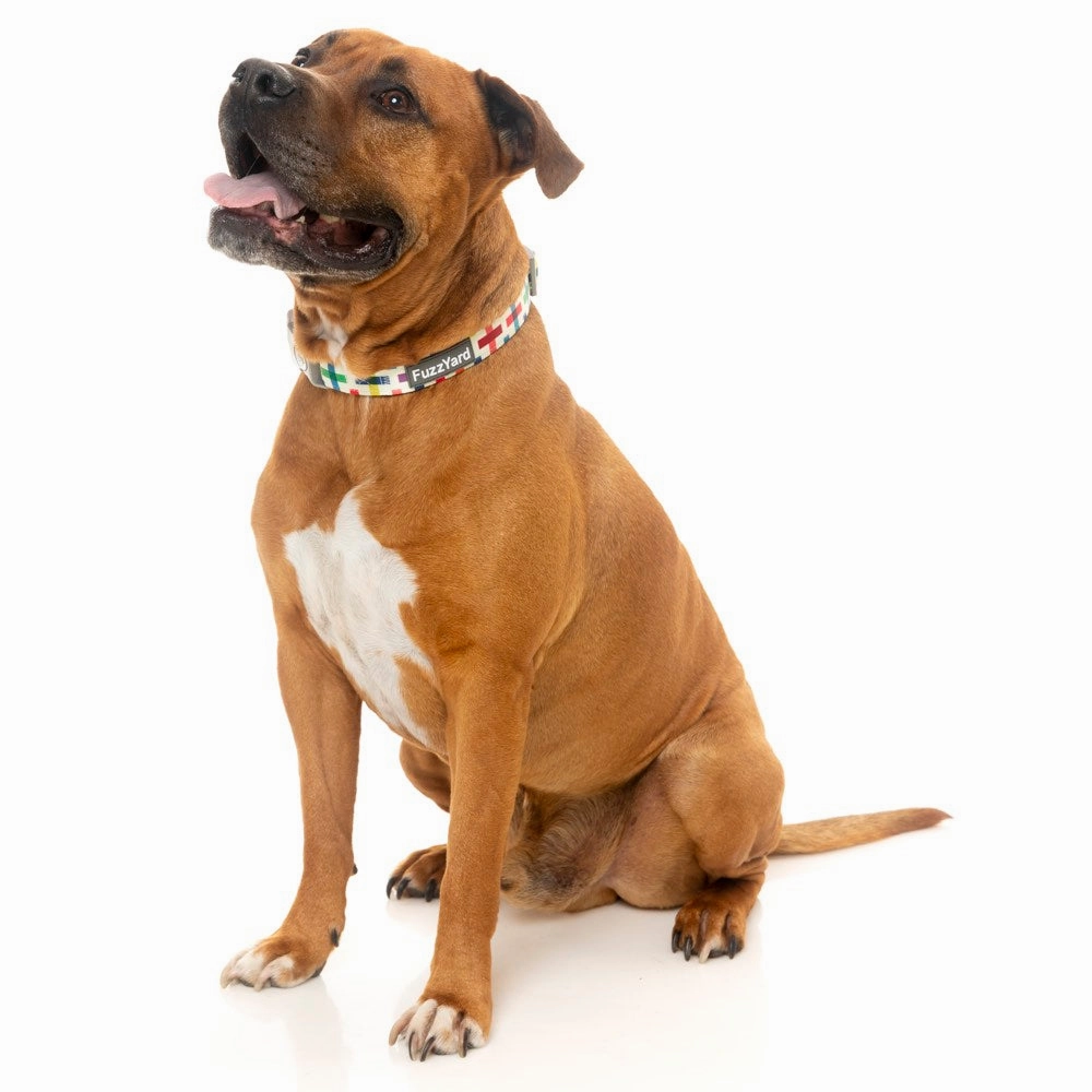 FuzzYard Dog Collar (Jenga)