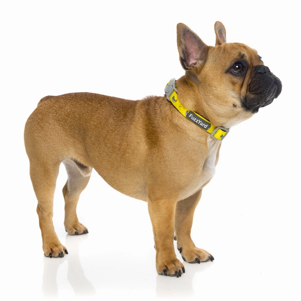 FuzzYard Dog Collar (Monkey Mania)