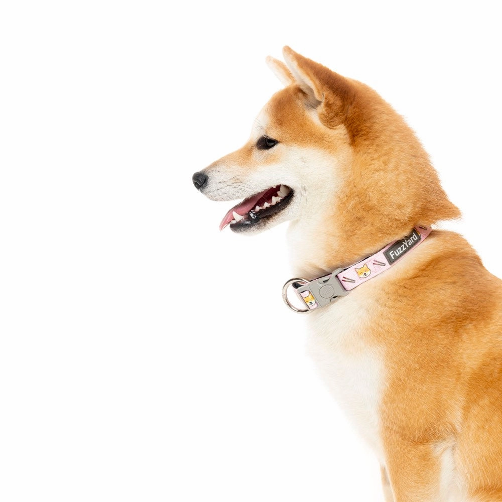FuzzYard Dog Collar (Sushiba)