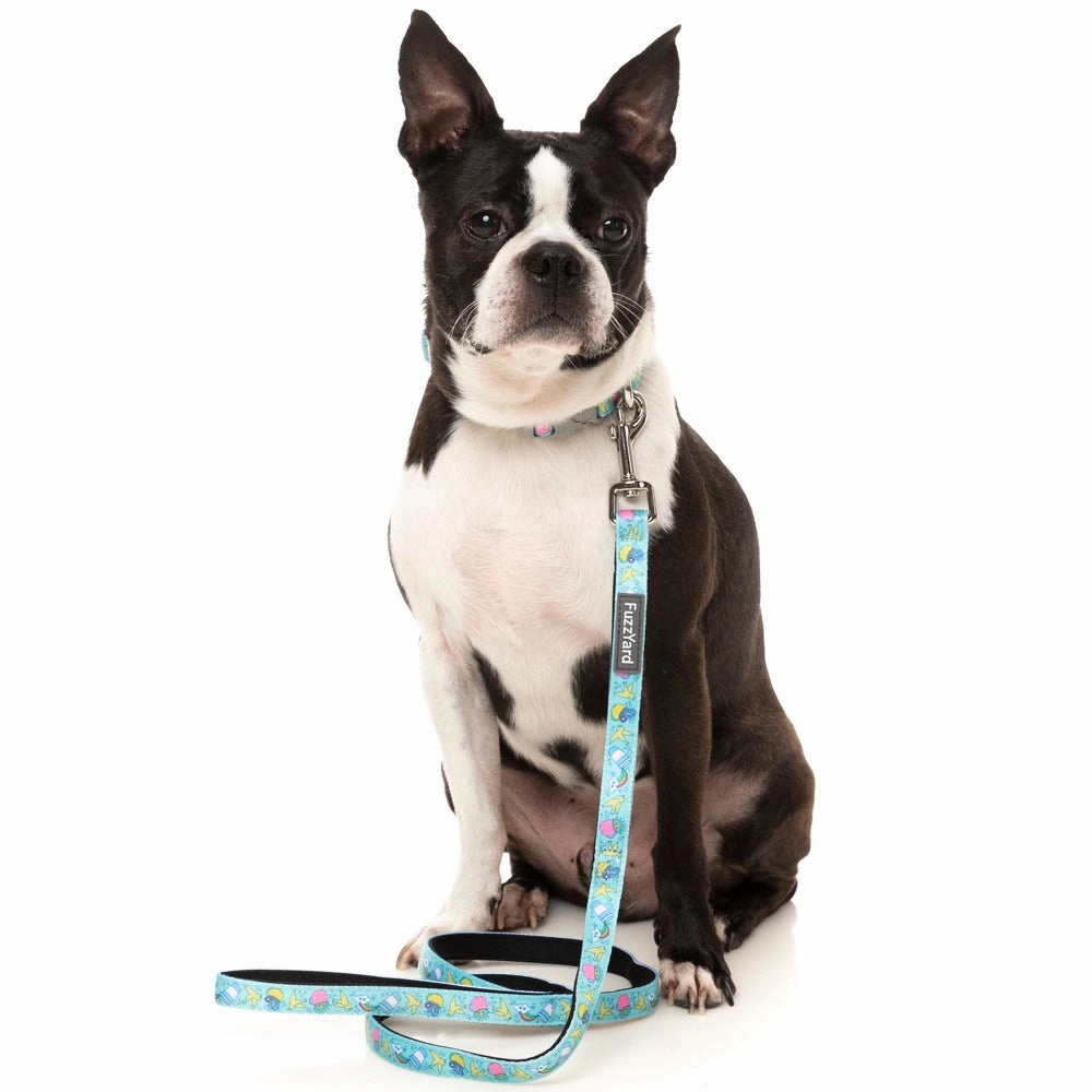 FuzzYard Dog Collar (Wakey Wakey)