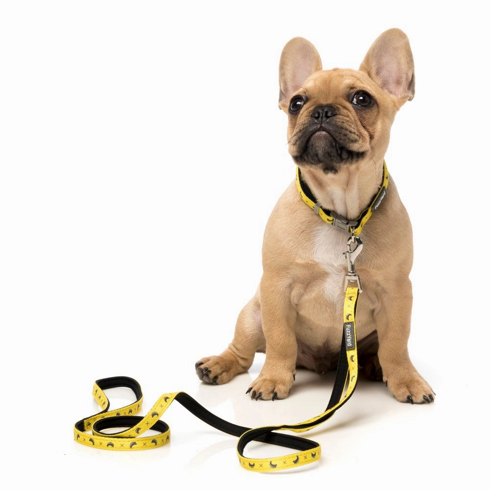 FuzzYard Dog Leash (Monkey Mania)