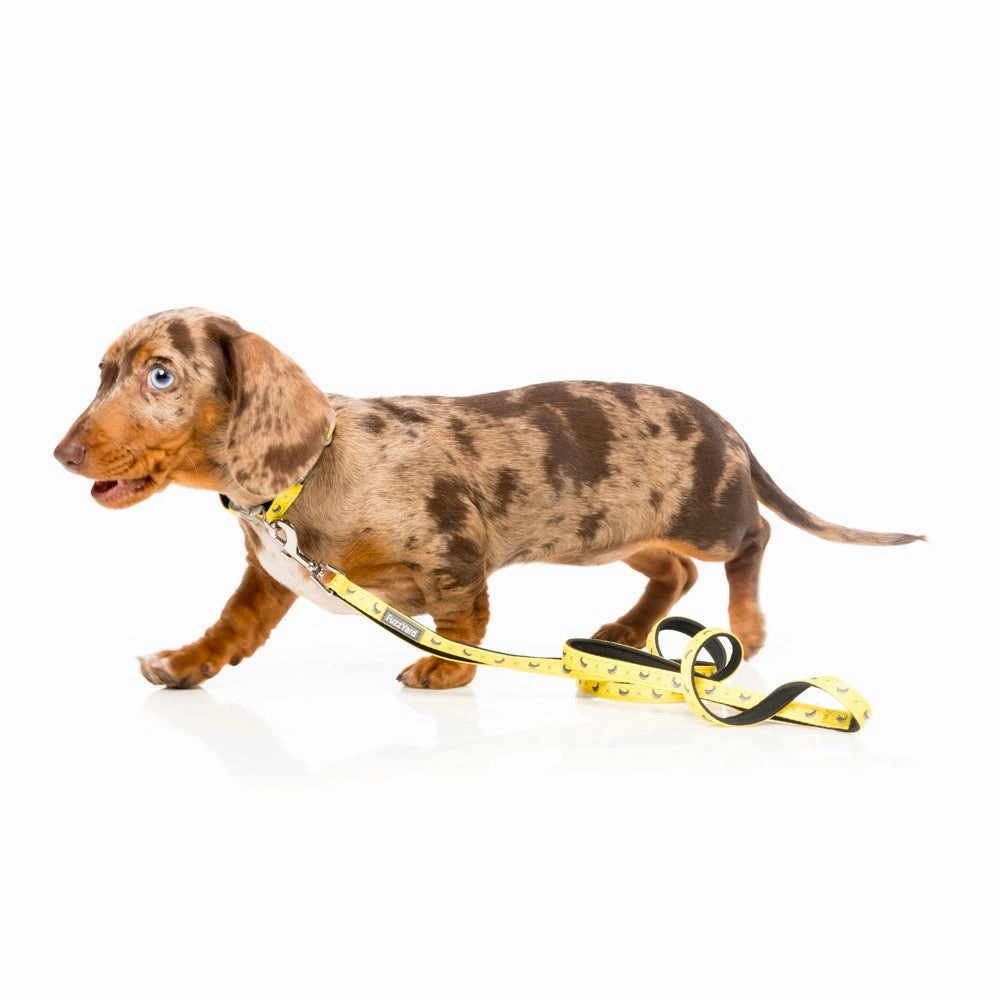 FuzzYard Dog Leash (Monkey Mania)