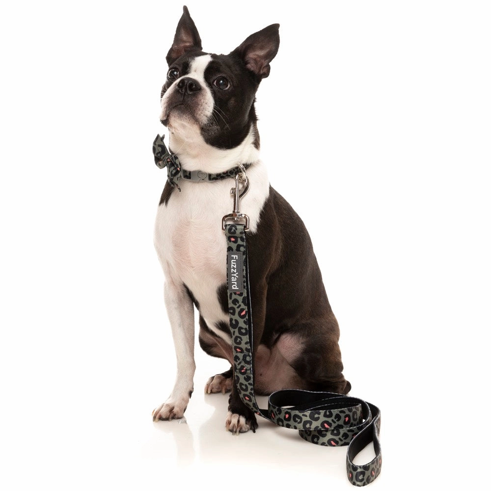 FuzzYard Dog Leash (Savanna)