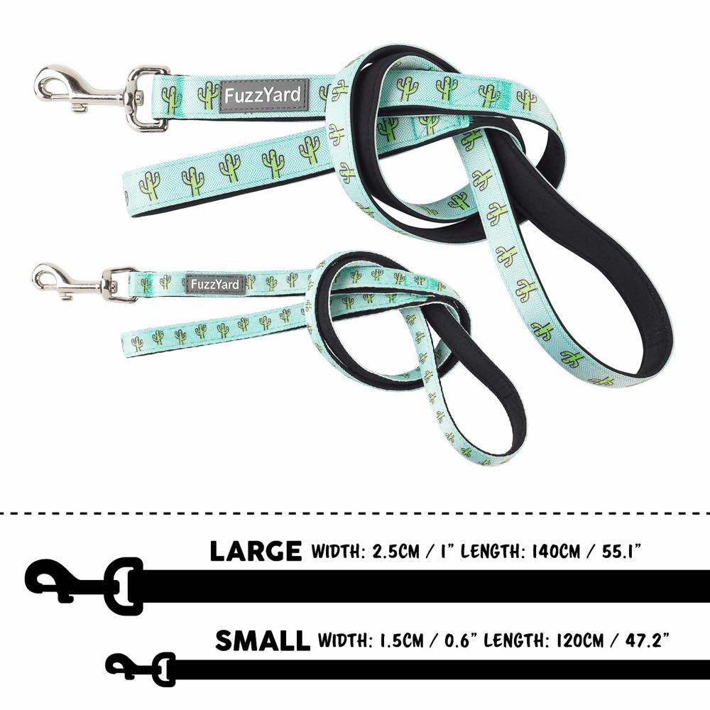 FuzzYard Dog Leash (Tucson)