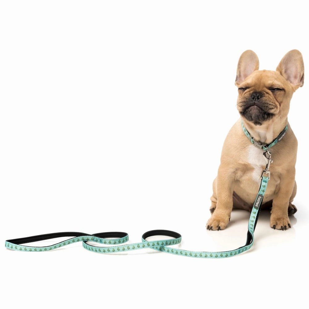 FuzzYard Dog Leash (Tucson)