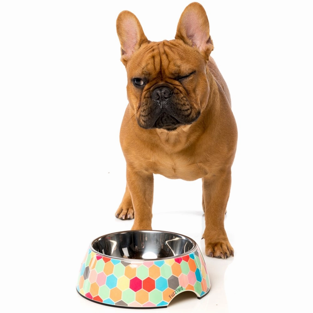 FuzzYard Easy Feeder Dog Bowl (The Hive)