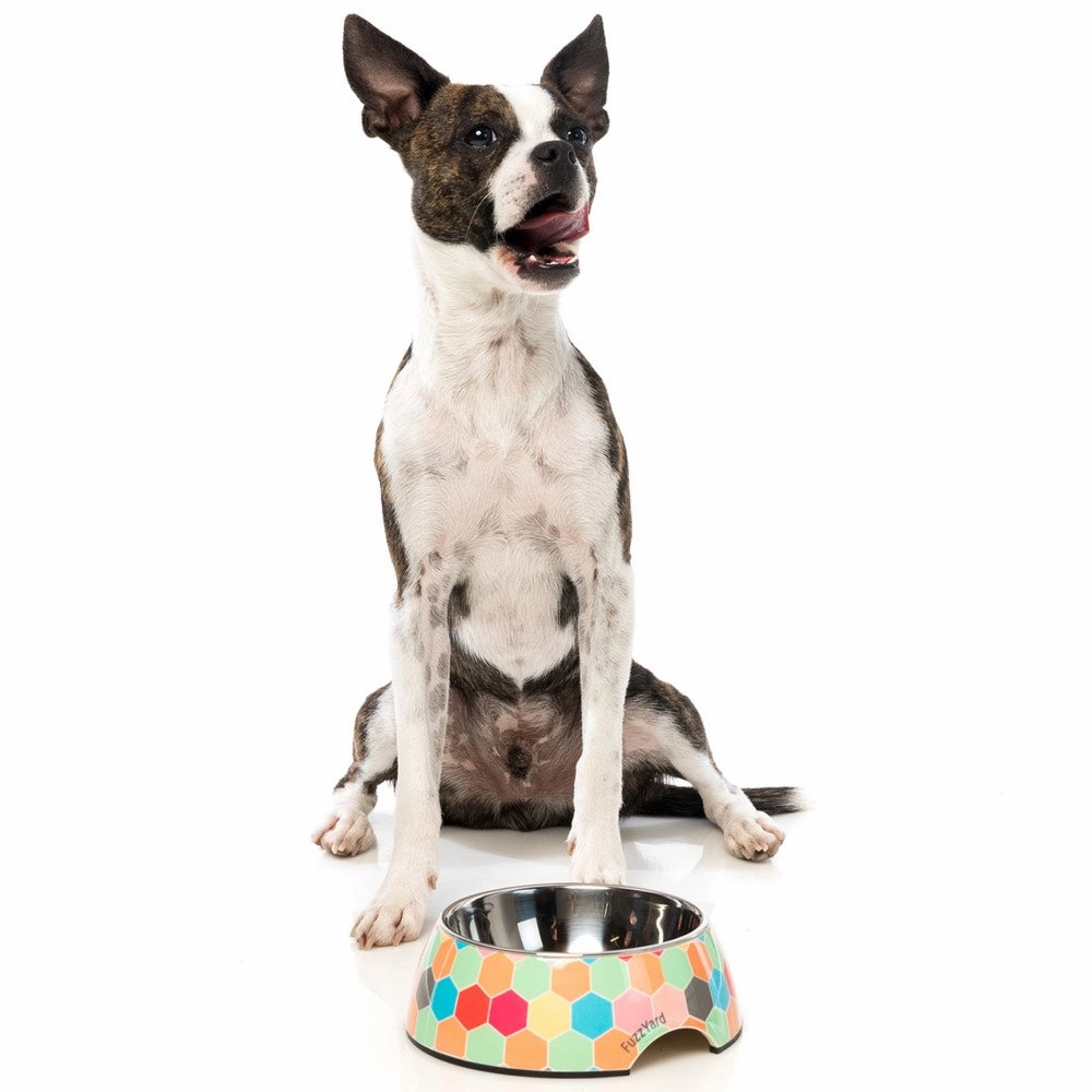 FuzzYard Easy Feeder Dog Bowl (The Hive)