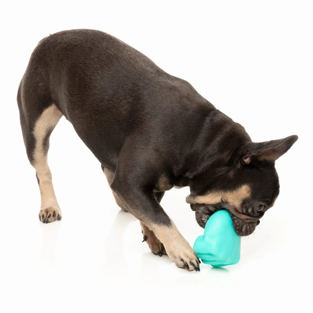 FuzzYard Knuckle Sandwich Interactive Treat Dog Toy