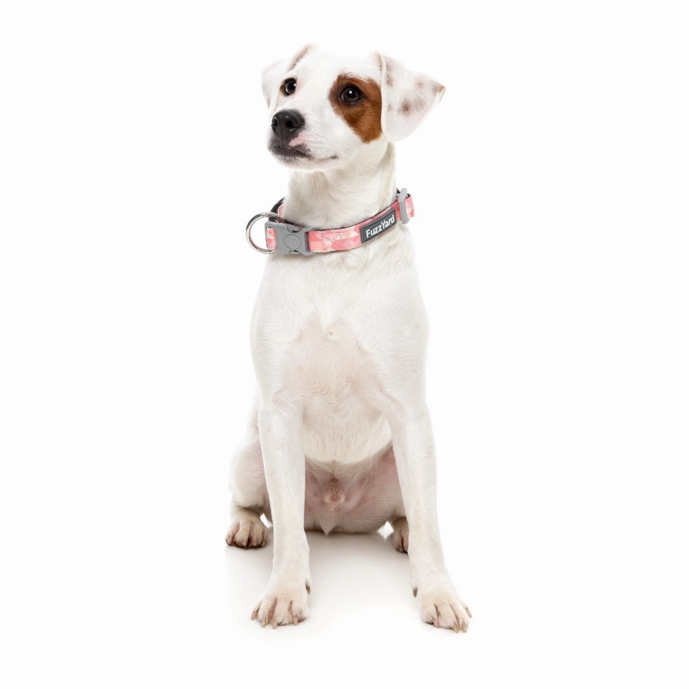 FuzzYard Pink Lemonade Dog Collar