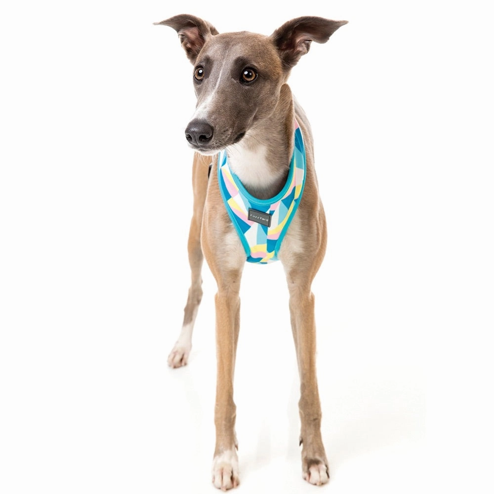 FuzzYard South Beach Dog Harness