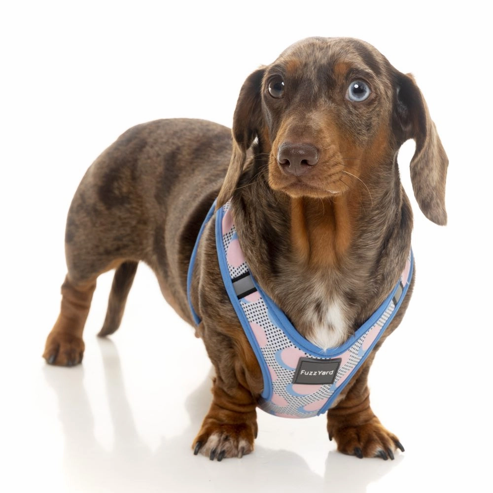 FuzzYard Step-in Dog Harness (Dippin')