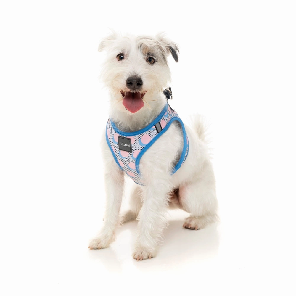 FuzzYard Step-in Dog Harness (Dippin')