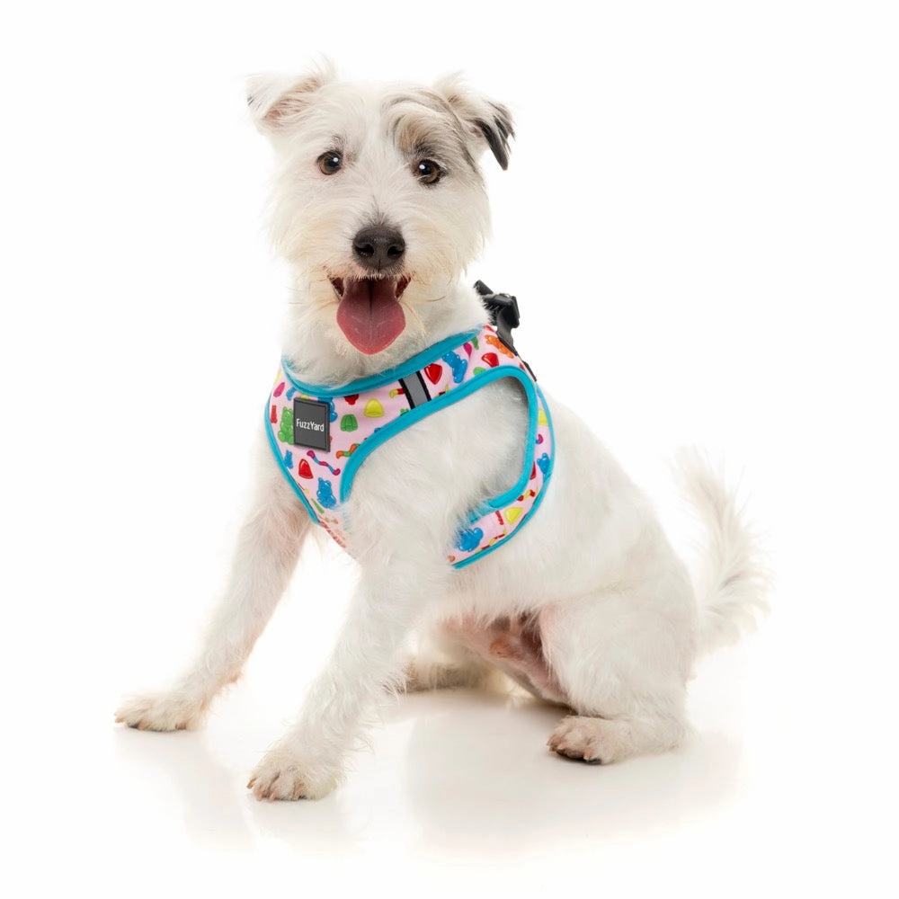 FuzzYard Step-in Dog Harness (Jelly Bears)
