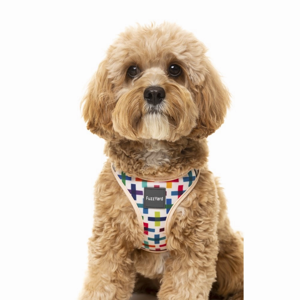 FuzzYard Step-in Dog Harness (Jenga)