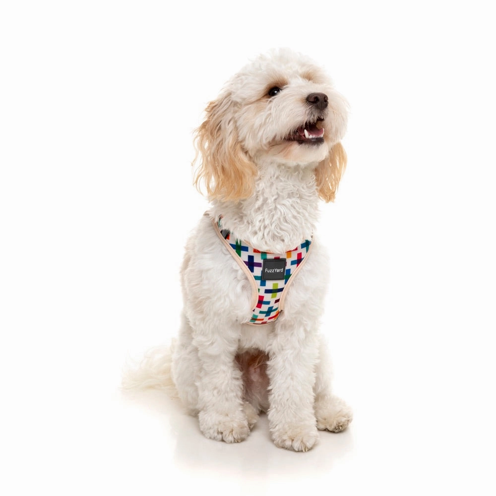 FuzzYard Step-in Dog Harness (Jenga)