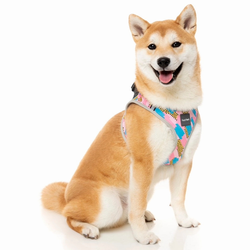 FuzzYard Step-in Dog Harness (Jiggy)
