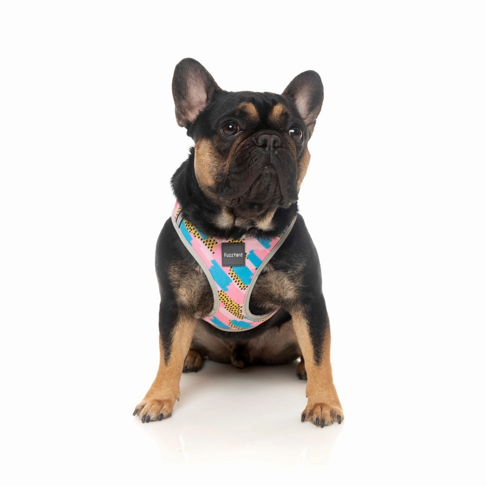 FuzzYard Step-in Dog Harness (Jiggy)